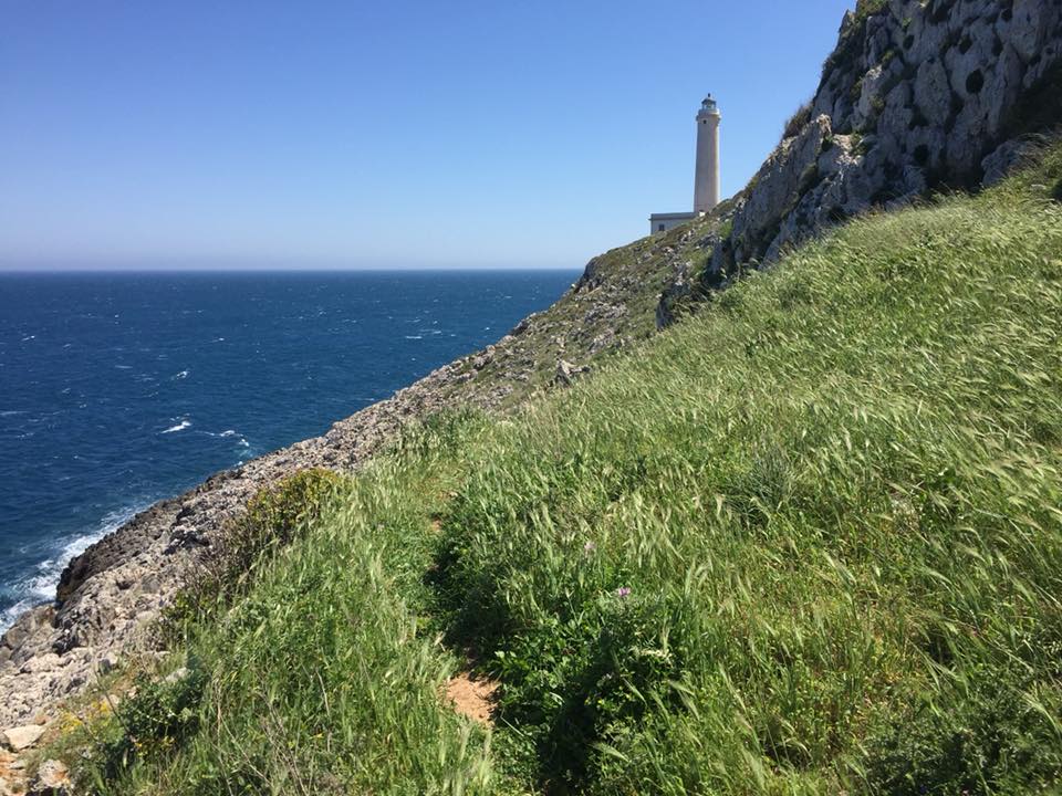 Escursione:Il Sentiero Capo d_Otranto ed il Faro della Palascia