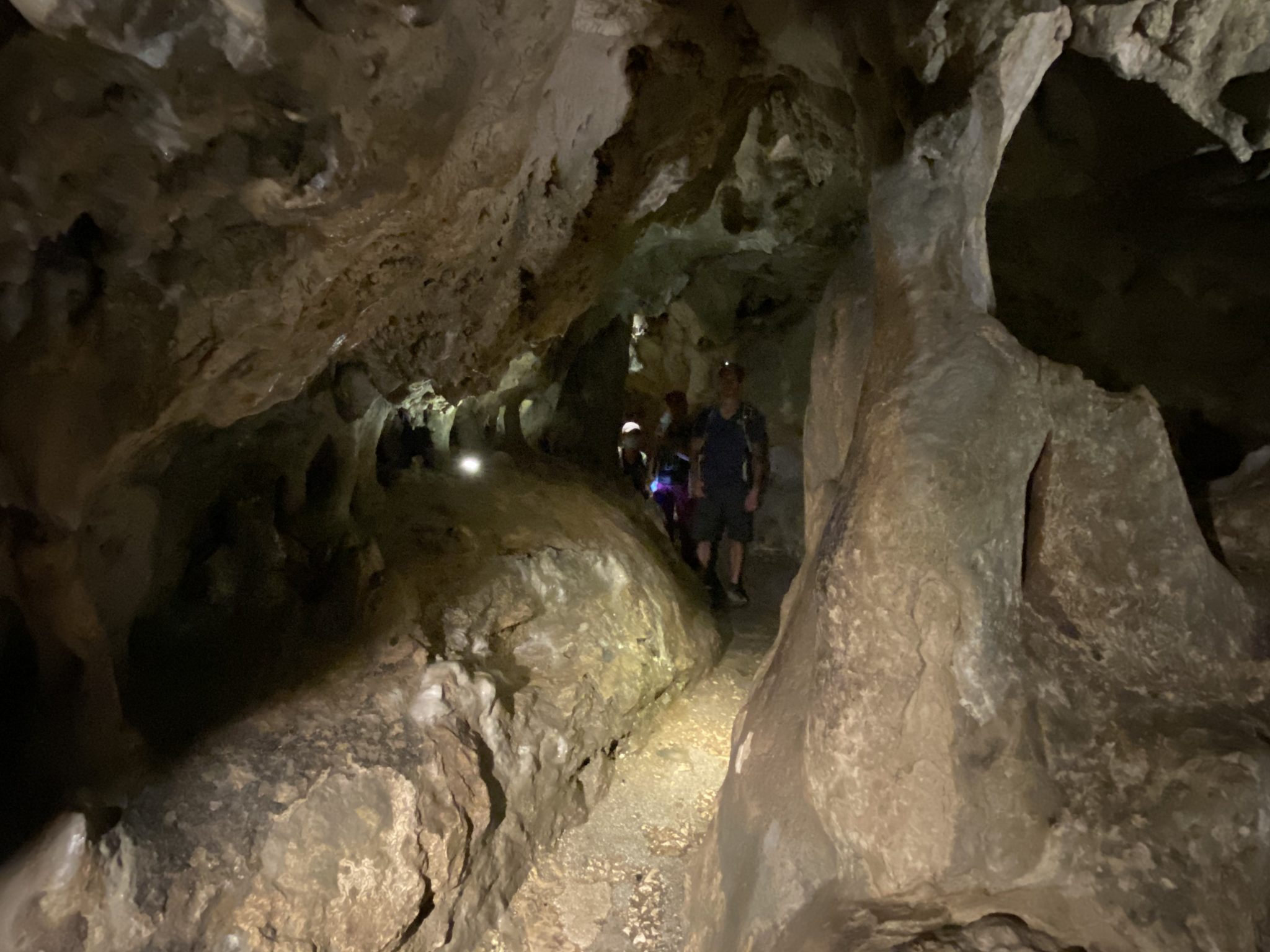 Grotta Zinzulusa - Speleotemi