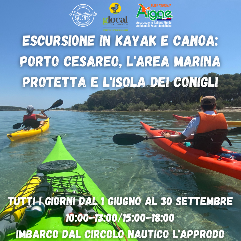 Escursione in kAYAK E CANOA porto cesareo, L'area marina protetta e l'isola dei conigli