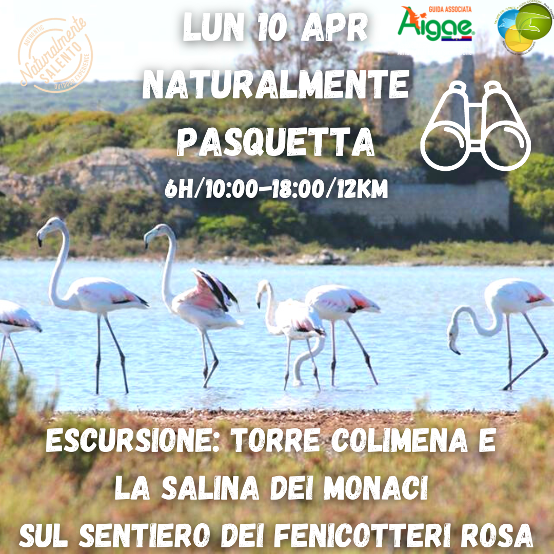 10 Aprile Pasquetta Torre Colimena e la Salina dei Monaci sul Sentiero dei Fenicotteri Rosa (1)