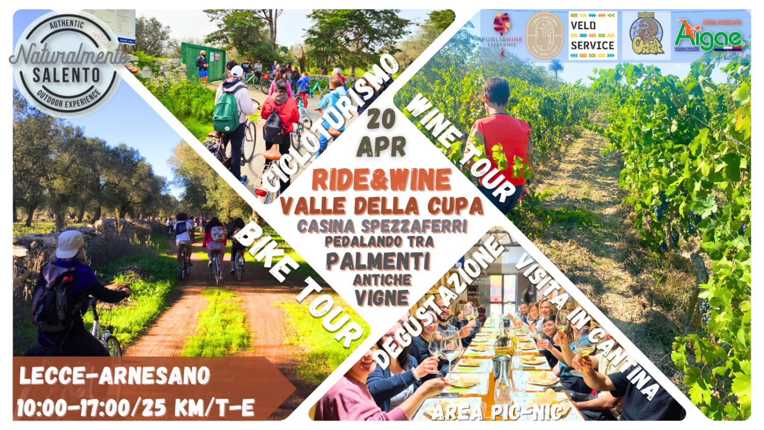 Ride & Wine Valle della Cupa (2)